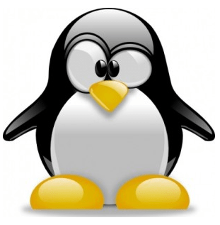 penguin algorithm updates